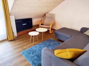 uma sala de estar com um sofá e uma televisão em Apartmán Kollarovi em České Budějovice