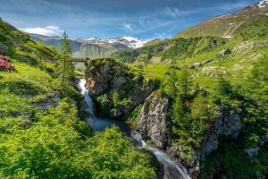 Naturlandskabet i nærheden af lejligheden