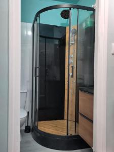 a shower with a glass door in a bathroom at appartement refait à neuf pour 3 personnes avec wi-fi in Vic-sur-Cère