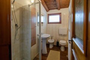 a bathroom with a shower and a toilet and a sink at Estate in montagna in San Vito di Cadore