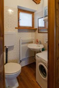 W łazience znajduje się toaleta, umywalka i pralka. w obiekcie Estate in montagna w mieście San Vito di Cadore