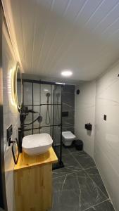 a bathroom with a sink and a shower at Kaledome Orman evleri in Çamlıhemşin