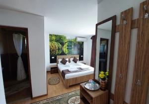 Habitación de hotel con cama y espejo en Pensiunea Paradiso, en Sarinasuf