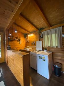 een keuken met een fornuis en een witte koelkast bij Viridian Three Boathouse Micah, PERUCAC LAKE in Perućac