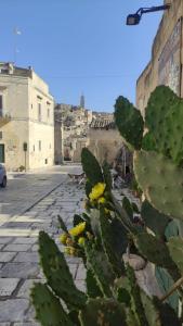 Fotografie z fotogalerie ubytování Il Geco v destinaci Matera