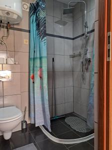 a bathroom with a shower with a red bird on the shower curtain at Domki Teo Piętrowe I Parterowe in Rewal