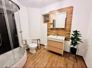 uma casa de banho com um WC, um lavatório e um espelho. em Hanul Cu Mesteceni em Boşorod