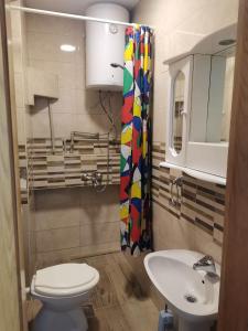 un baño con inodoro y lavabo en Vila Visni, en Ohrid