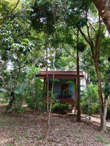 Zahrada ubytování Khao Sok River & Jungle Bungalow
