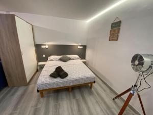 a bedroom with a bed with a fan and a camera at Loft, muy cerca de playa y castillo Tamarit in Tarragona