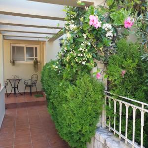 a garden with pink and white flowers and a fence at היחידה בגומא in Kefar Weradim