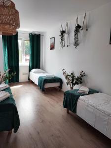 Postel nebo postele na pokoji v ubytování Apartamenty Poddąbek- basen kryty, sauna, animacje dla dzieci , małpi gaj, baseny na dachu