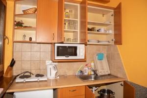 una cucina con lavandino e forno a microonde di Apartmány Alma a Vyhne