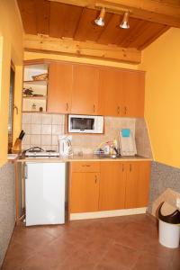 a kitchen with a white refrigerator and a microwave at Apartmány Alma in Vyhne