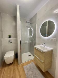 W łazience znajduje się prysznic, toaleta i umywalka. w obiekcie T2 Tête d’Or Confort + Parking gratuit w mieście Villeurbanne