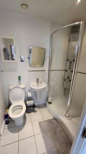 een badkamer met een toilet, een douche en een wastafel bij Luxury 2 Bed Apartment EXCEL London in Londen