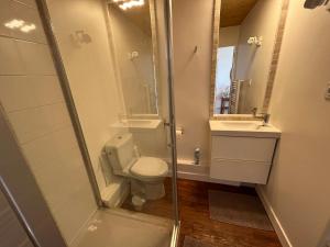 a bathroom with a toilet and a sink and a shower at Le Verger Grimaldin in Grimault
