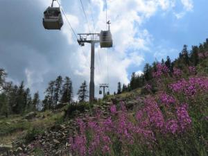 Gallery image of Studio familial à proximité des pistes, 4 pers, Le Front de Neige - FR-1-292-198 in Isola