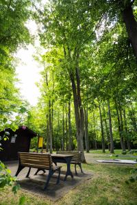 Ein Garten an der Unterkunft Thermalhotel Kemper