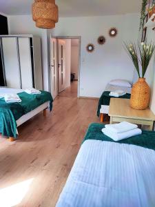 Postel nebo postele na pokoji v ubytování Apartamenty Poddąbek- basen kryty, sauna, animacje dla dzieci , małpi gaj, baseny na dachu