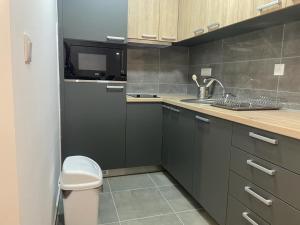 Kuchyň nebo kuchyňský kout v ubytování luxury Pool Apartment Jagodina