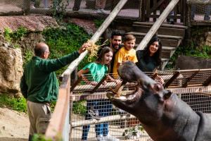 Hosté ubytování Hotel Selwo Lodge - Animal Park Tickets Included