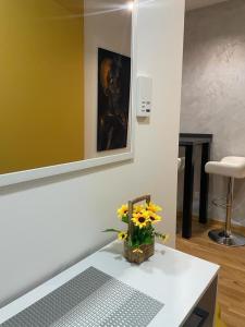 Fotografie z fotogalerie ubytování luxury Pool Apartment Jagodina v destinaci Jagodina