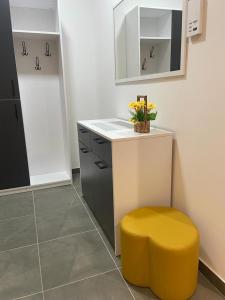 Fotografie z fotogalerie ubytování luxury Pool Apartment Jagodina v destinaci Jagodina