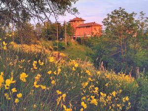 a field of yellow flowers in front of a house at Ala Ovest de La Fabbrica in collina in Prasco