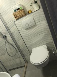 La salle de bains est pourvue d'une douche et de toilettes blanches. dans l'établissement House Marija, à Orašac