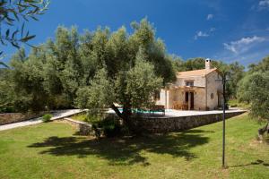 a villa with a large olive tree and a stone wall at Aelia Villa in Sivota