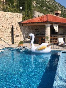 - une piscine avec deux cygnes dans l'établissement House Marija, à Orašac