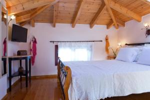 a bedroom with a large bed in a room with wooden ceilings at Aelia Villa in Sivota +29 photos