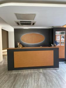 a cat sitting on a counter in a room at Hotel Otağ in Istanbul