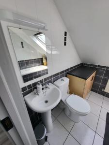 a bathroom with a toilet and a sink at Curragh View in Killybegs