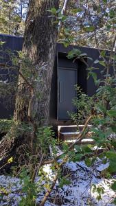 a door in a tree next to a tree at El Bosque in San Carlos de Bariloche