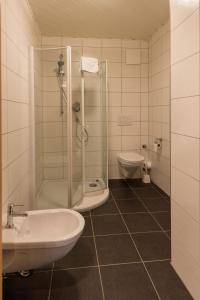 y baño con ducha, lavabo y aseo. en Landhotel für Familien und Firmen en Schönhagen