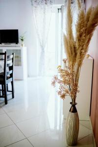 - un vase rempli de plumes dans le salon dans l'établissement Garden Apartment, à Pescara