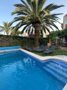 een blauw zwembad met een palmboom en stoelen bij Maison cosy au pied du golf in Muntanya la Sella
