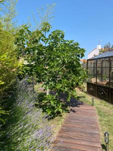 un chemin en bois menant à une serre aux fleurs violettes dans l'établissement Céline et Olivier, à Pornic