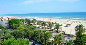 a beach with palm trees and a lot of people at Hotel Holiday in Giulianova