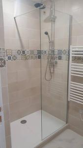 eine Dusche mit Glastür im Badezimmer in der Unterkunft Appartement palais de justice in Rouen