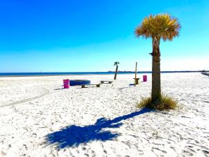 a palm tree and benches on a sandy beach at Lifeguard Shack in Long Beach