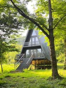 uma casa com telhado de metal e escadas em Gurgeniani Twin Cottages em Lagodekhi