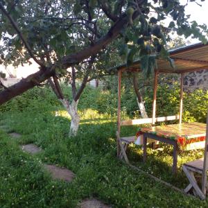Κήπος έξω από το Family house