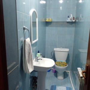 a bathroom with a sink and a toilet and a mirror at Family house in Sevan