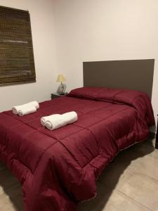 Afbeelding uit fotogalerij van MORADA DEL ZORRO in Merlo +4 foto's