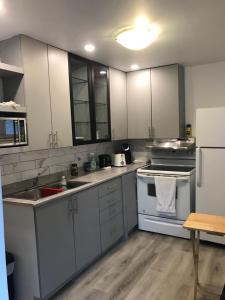 eine Küche mit Küchengeräten aus Edelstahl und weißen Schränken in der Unterkunft Victorian2 Henderson Héritage Home in Ottawa