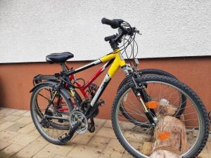 Катання на велосипеді по території Apartma Vrh або околицях