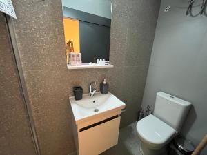 a bathroom with a sink and a toilet and a mirror at Mr. Studio in Ortakoy , North Nicosia + wifi + netflix in North Nicosia